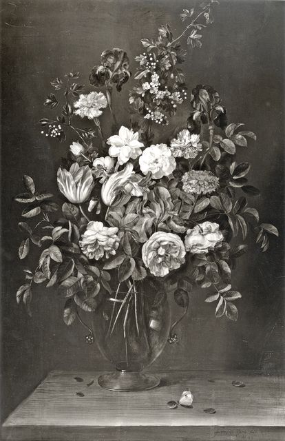 Anonimo — Ijkens Frans - sec. XVII - Natura morta con vaso di fiori e farfalla — insieme